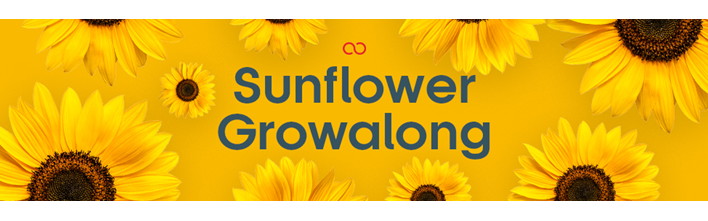 Sunflower Growalong